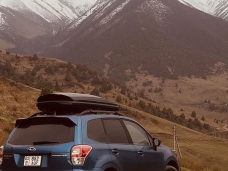 Subaru Forester, 2017 — фото 8