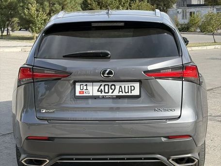 Lexus NX, 2019 — photo 5