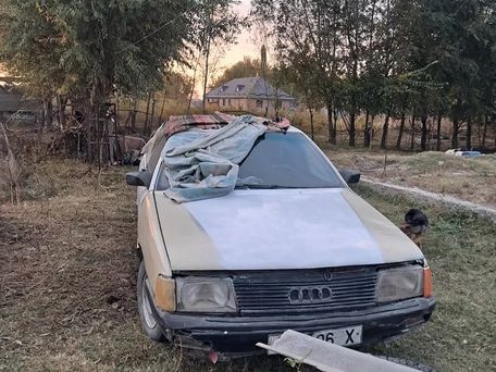 Audi 100, 1989 — photo 2