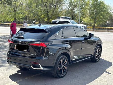 Lexus NX, 2018 — фото 6