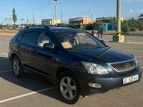 Lexus RX, 2003 — сүрөт 10