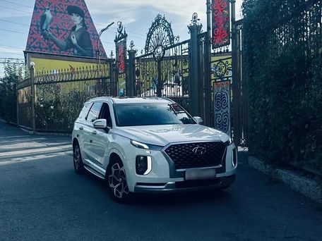 Hyundai Palisade, 2020 — 照片 3