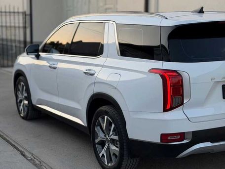 Hyundai Palisade, 2019 — фото 1
