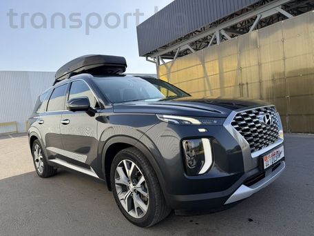 Hyundai Palisade, 2019 — фото 4