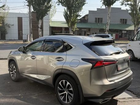 Lexus NX, 2019 — photo 3