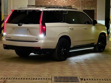Cadillac Escalade-V, 2024 — фото 4