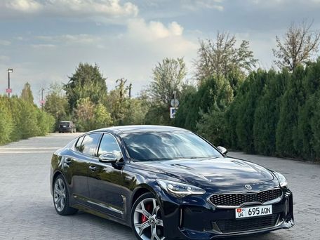 Kia Stinger, 2019 — фото 3