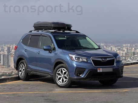 Subaru Forester, 2019 — фото 2