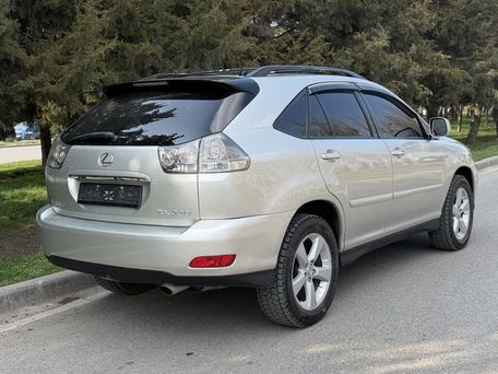 Lexus RX, 2003 — фото 9