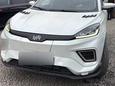 Weltmeister EX5, 2018