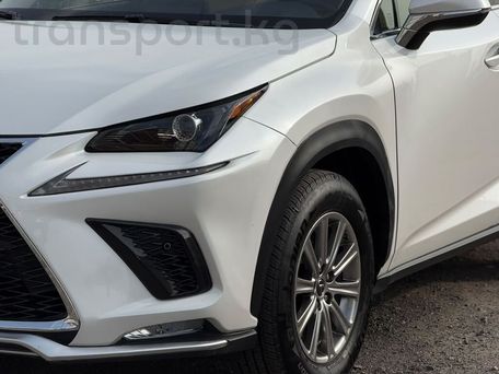 Lexus NX, 2020 — фото 1