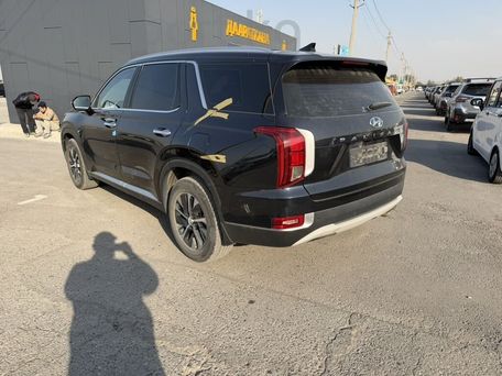 Hyundai Palisade, 2020 — photo 6
