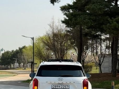 Hyundai Palisade, 2019 — фото 2