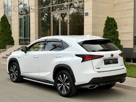 Lexus NX, 2018 — фото 5