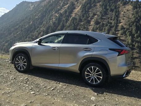 Lexus NX, 2019 — фото 2