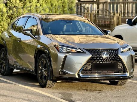 Lexus UX, 2018 — фото 3