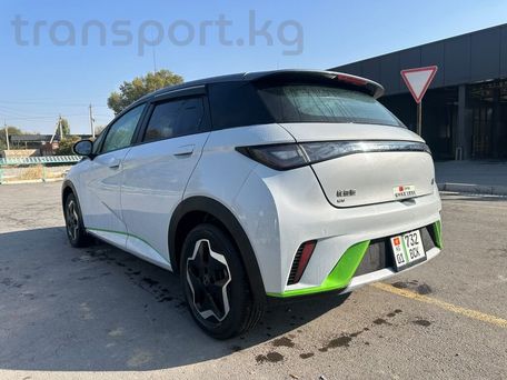 BYD Dolphin, 2022 — сүрөт 6