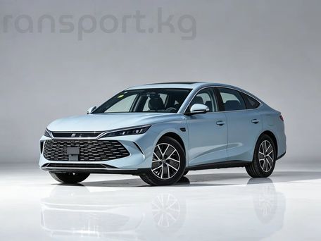 BYD Qin Pro, 2025 — фото 2