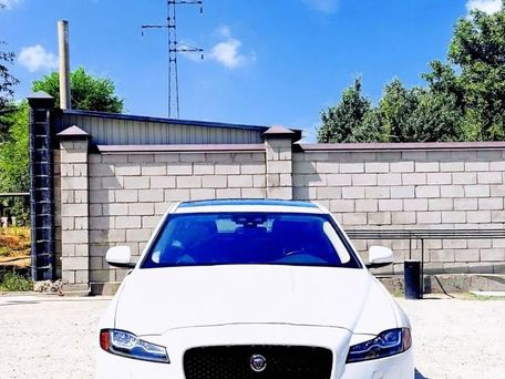 Jaguar XF, 2020 — фото 3