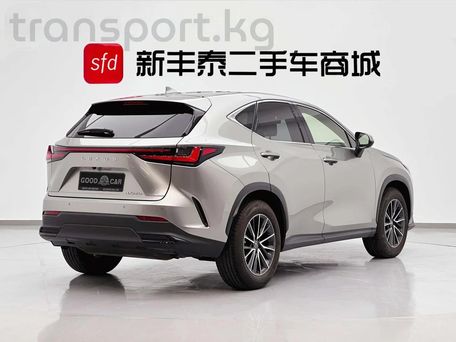 Lexus NX, 2022 — фото 6