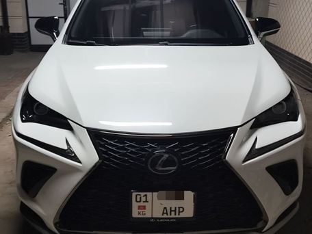 Lexus NX, 2020 — фото 1
