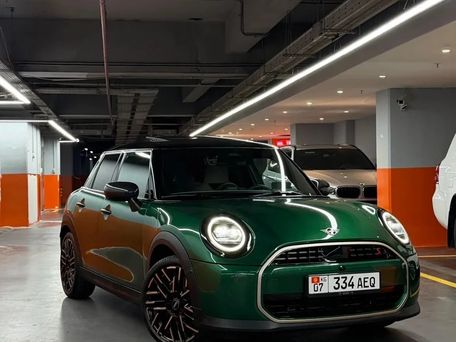 Mini Hatch, 2024