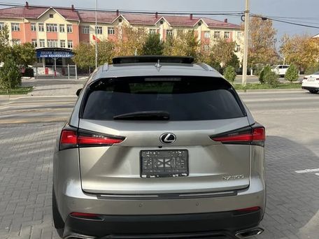 Lexus NX, 2018 — фото 10