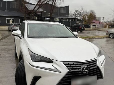 Lexus NX, 2019 — photo 3