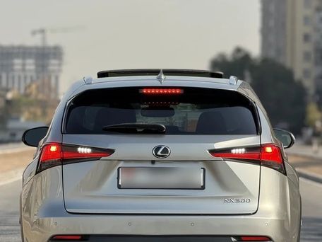 Lexus NX, 2018 — photo 6