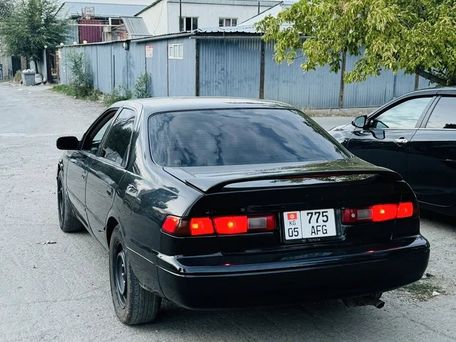 Toyota Camry, 1999 — фото 3