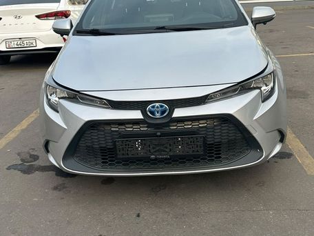 Toyota Levin, 2020 — сүрөт 1