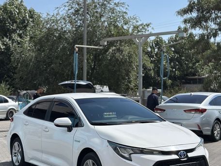 Toyota Corolla, 2021 — 照片 3