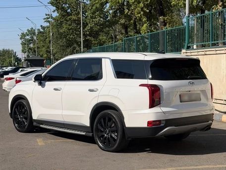Hyundai Palisade, 2019 — photo 6