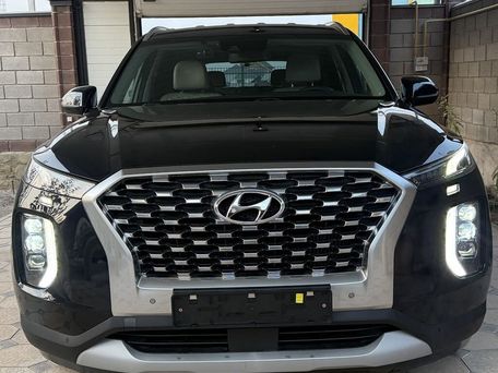 Hyundai Palisade, 2020 — photo 1