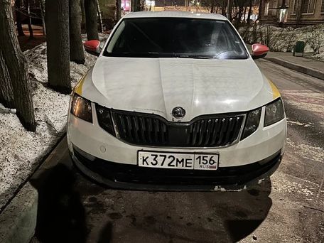Skoda Octavia, 2020 — фото 6