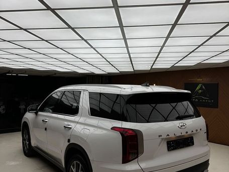 Hyundai Palisade, 2021 — сүрөт 13