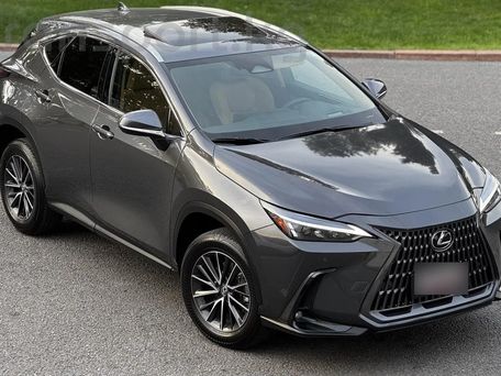 Lexus NX, 2021 — фото 3
