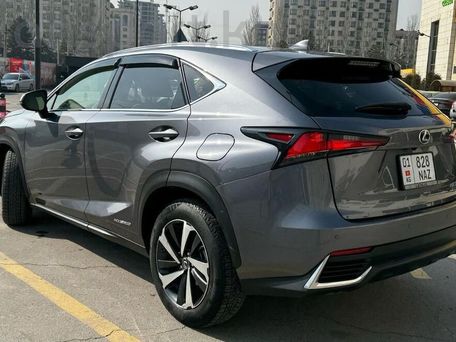 Lexus NX, 2021 — фото 3