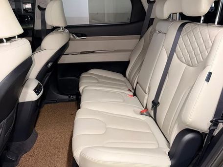Hyundai Palisade, 2021 — photo 9