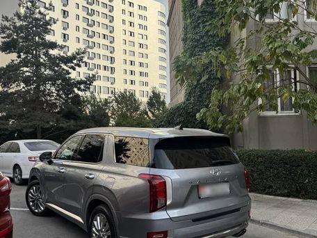 Hyundai Palisade, 2019 — 照片 4