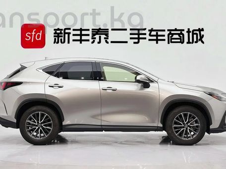 Lexus NX, 2022 — фото 7
