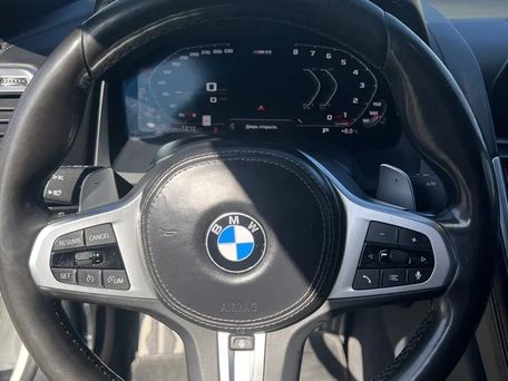 BMW 8 серии, 2019 — 照片 8