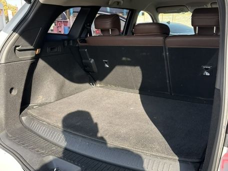 Renault Samsung QM6, 2020 — photo 11