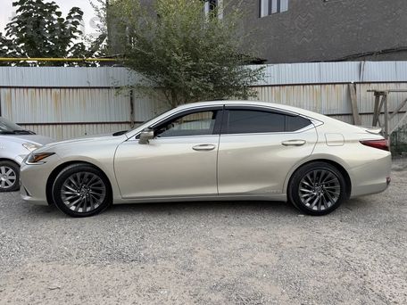 Lexus ES, 2019 — фото 10