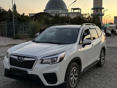 Subaru Forester, 2019 — photo 7