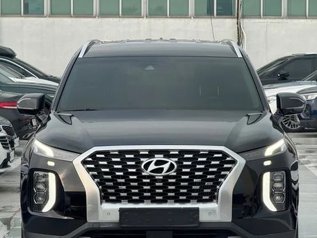 Hyundai Palisade, 2020 — фото 9