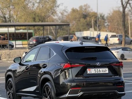 Lexus NX, 2019 — сүрөт 3