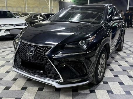 Lexus NX, 2021 — фото 2