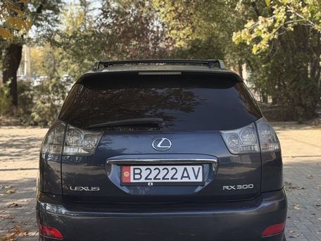 Lexus RX, 2003 — сүрөт 4