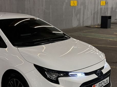 Toyota Levin, 2023 — 照片 3